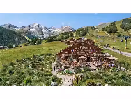 vente locaux professionnels 0 pièces à la foux d'allos (04260)  950 000 €