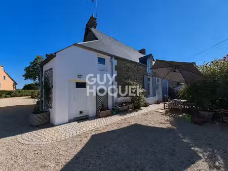 pleine fougères