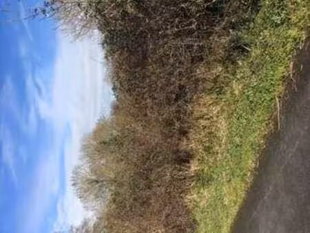 vente terrain à saint-valérien (85570) : à vendre / saint-valérien