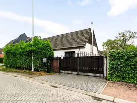 maison à vendre à oostmalle € 369.000 (lqvaj) - liva vastgoed | zimmo