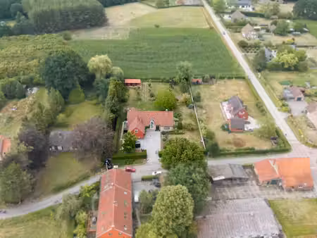 maison à vendre à oelegem € 1.215.000 (lqtkk) - bauwens groep | zimmo