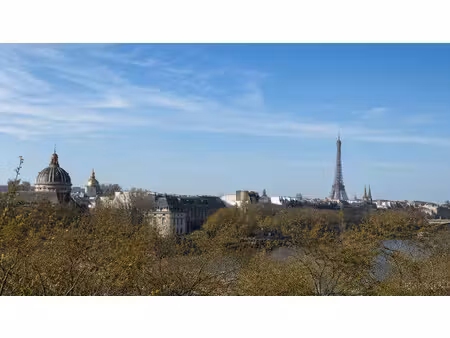 bien d'exception avec vue sur la seine et monuments !