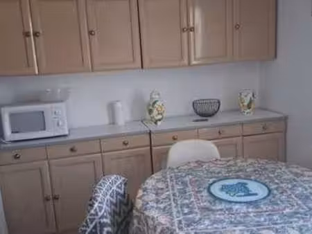 location appartement t1 meublé à joué-lès-tours (37300) : à louer t1 meublé / 40m² joué-lè