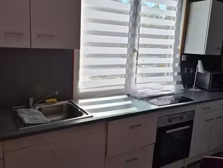 appartement 32 m2 proche lycée châtelet st jean ecole des mines fac de droit hôpital