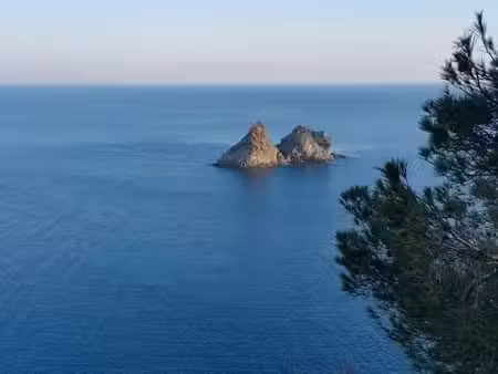 ? recherche location – la seyne-sur-mer