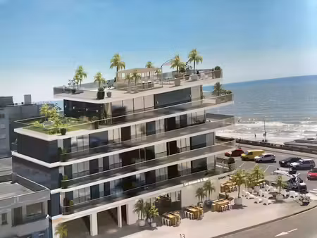 vente appartement 3 pièces 64.22 m² à stella (62780)  495 000 €