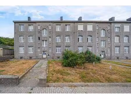 appartement 3 ch. avec cave  terrasse et jardin à rénover.