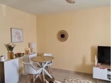 loue appartement t2 vineuil