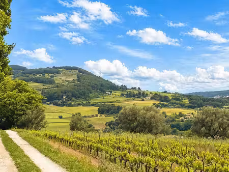 vente terrain 522 m² à le castellet (83330)  290 000 €