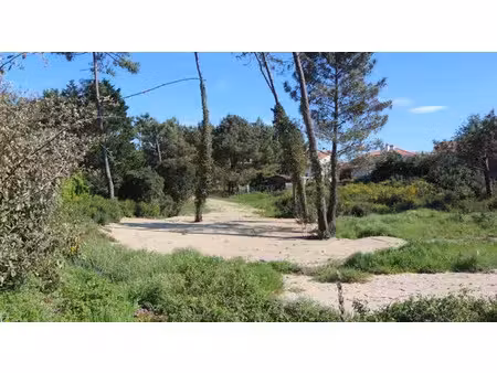 vente terrain 450 m² à saint-médard-en-jalles (33160)  160 000 €