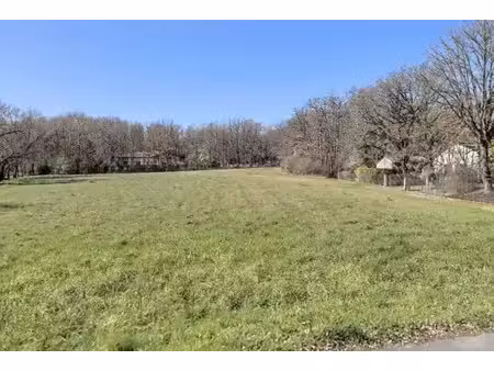 vente terrain 835 m² à la salvetat-saint-gilles (31880)  198 000 €