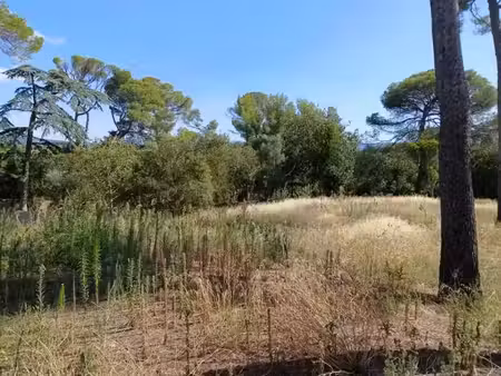 vente terrain 900 m² à cournonsec (34660)  299 000 €
