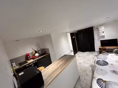 location appartement 1 pièce à saint-ciers-sur-gironde (33820)  450 €