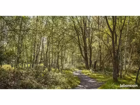 recherche terrain boisé  foret