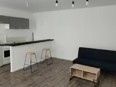 location meublée appartement 2 pièces 52 m² à saint-etienne (42000)  490 €