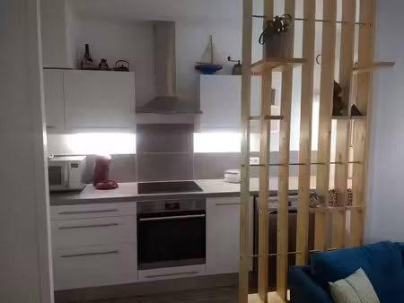 location meublée appartement 1 pièce 26 m² à villeurbanne (69100)  635 €