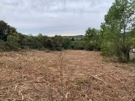 jardin à cultiver
