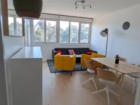 location appartement petit port - faculté