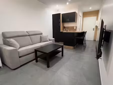 location meublée appartement 1 pièce 25 m² à saint-etienne (42000)  600 €