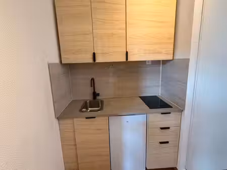 studio à vendre lyon 7