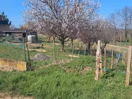 vente terrain à construire