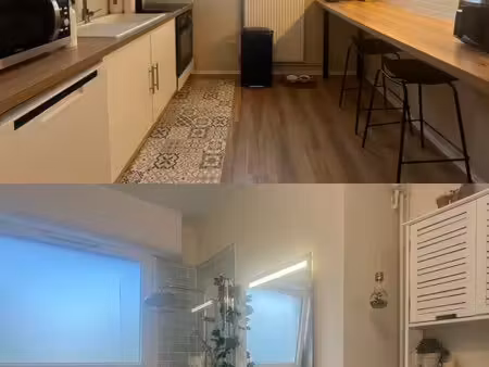 appartement t2 proche orléans