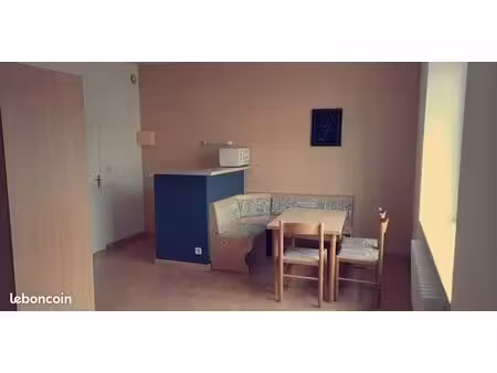 charmant appartement meublé  centre-ville