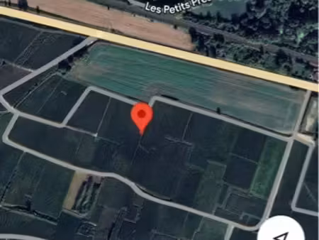 parcelle de vigne
