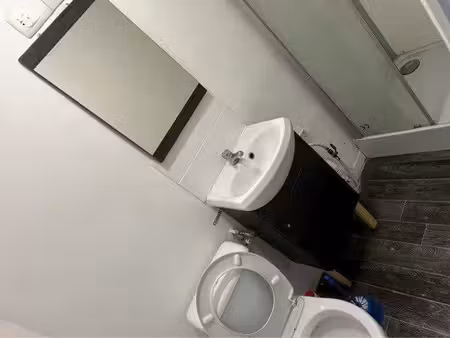 location meublée appartement 1 pièce 20 m² à lille (59000)  520 €
