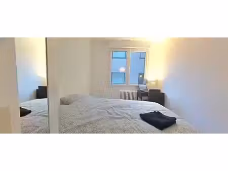 location meublée appartement 5 pièces 110 m² à strasbourg (67000)  600 €