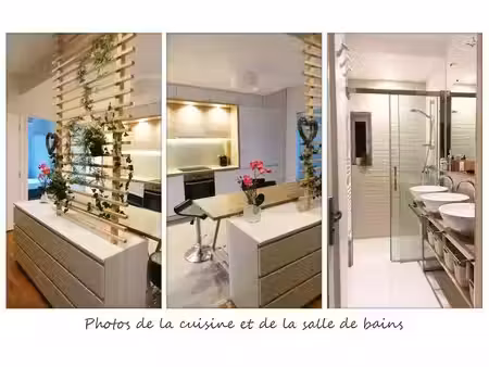 location meublée appartement 4 pièces 60 m² à villeurbanne (69100)  480 €
