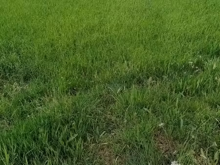 terrain 330 m² baud