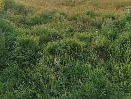 terrain 275 m² merlevenez