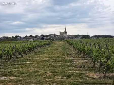 domaine viticole modulable