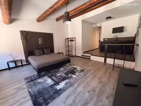 studio meublé vaison la romaine