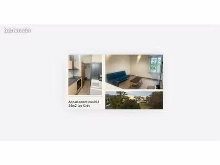appartement meublé 54m2 lapalud