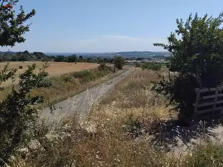 parcelle agricole