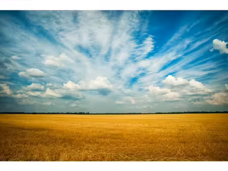 terrain 629 m² waldwisse