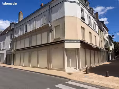 immeuble 7 pièces 310 m²