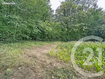 terrain 41 553 m² longueil annel
