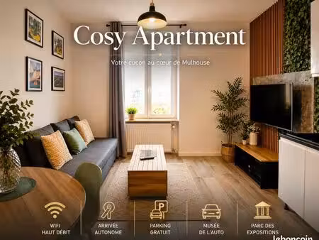 investisseur – airbnb clé en main – 12 400 de revenus – 81 000 – mulhouse