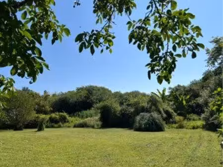 terrain de 1100 m2    rare & divisible  bordé d’une forêt et d’un ruisseau
