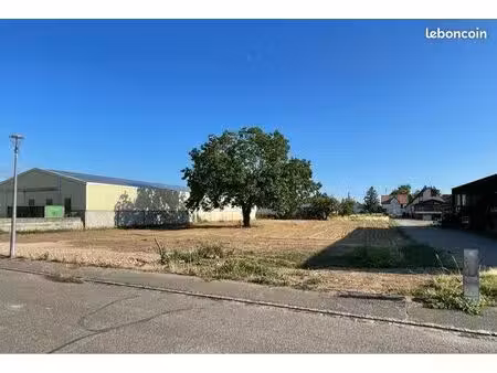 terrain 545 m2 blodelsheim