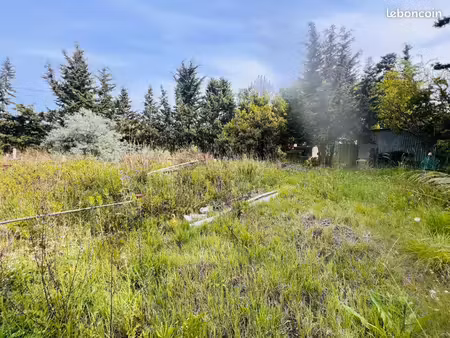 terrain de loisirs arboré avec forage