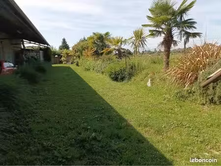 maison individuelle avec terrain