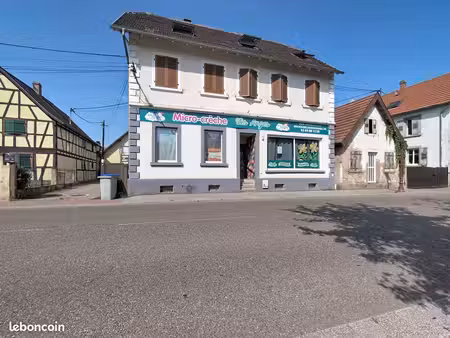 local 166 m² holtzheim