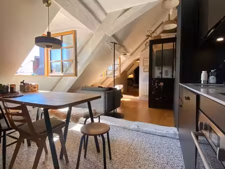 appartement sous les toits atypique et lumineux