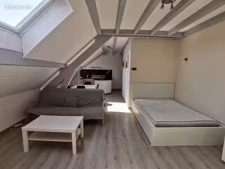 studio 1 pièce 42 m²