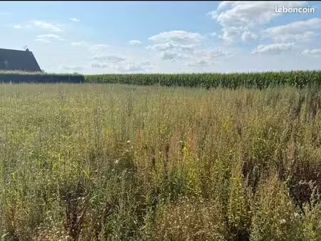 terrain 1 377 m² ancretieville saint victor