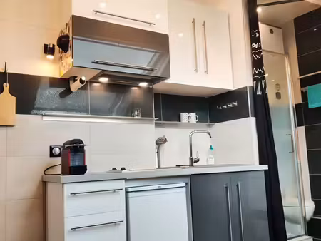 studio meublé rénové – centre de fontainebleau – calme  lumineux – idéal étudiant ou jeune